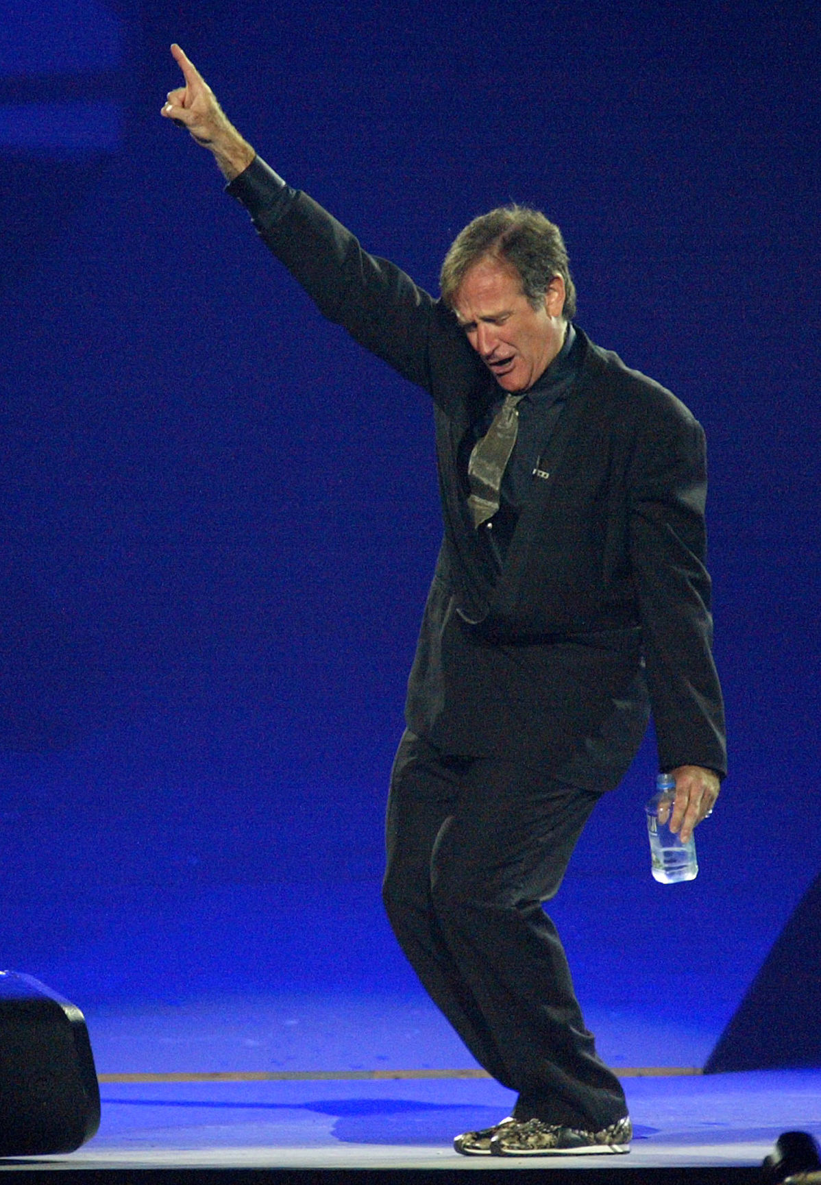 Robin Williams, 2002